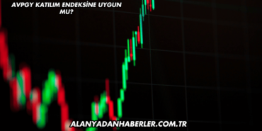 AVPGY Katılım Endeksine Uygun mu?