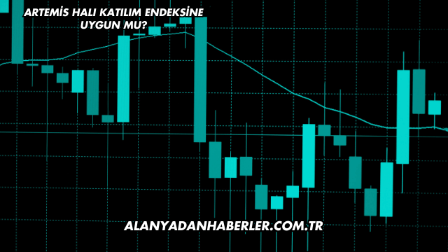 Artemis Halı Katılım Endeksine Uygun mu?