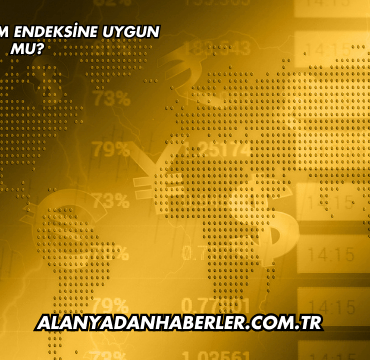 Dofer Katılım Endeksine Uygun mu?
