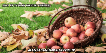 Elma ile Yapılan Tarifler Nelerdir?