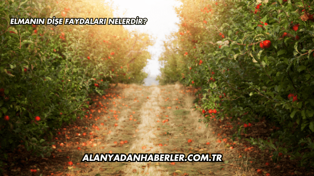 Elmanın Dişe Faydaları Nelerdir?