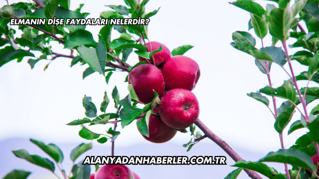 Elmanın Dişe Faydaları Nelerdir?