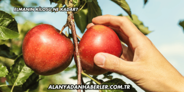 Elmanın Kilosu Ne Kadar?