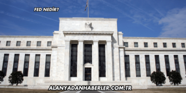 Fed Nedir?