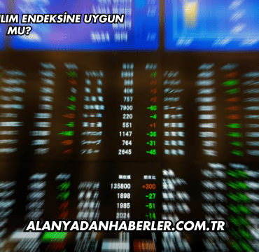 Gıpta Ofis Katılım Endeksine Uygun mu?