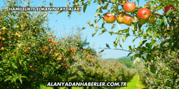 Hamilelikte Elmanın Faydaları