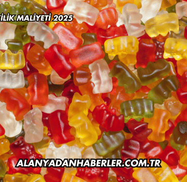 Haribo Bayilik Maliyeti 2025