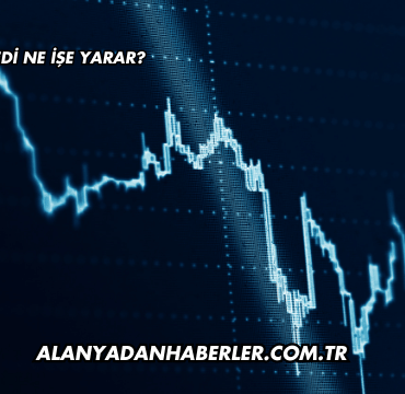Hisse Senedi Ne İşe Yarar?