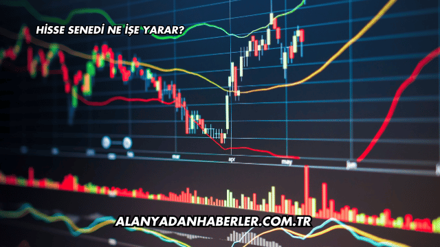 Hisse Senedi Ne İşe Yarar?