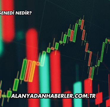 Hisse Senedi Nedir?