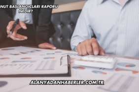 Konut Başlangıçları Raporu Nedir?