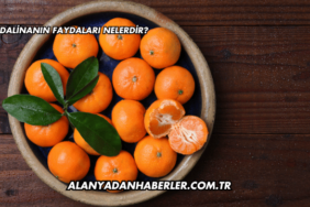 Mandalinanın Faydaları Nelerdir?