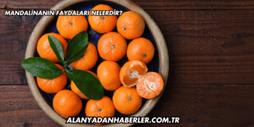 Mandalinanın Faydaları Nelerdir?