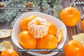 Mandalinanın Kalbe Faydaları