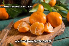 Mandalinanın Zararları Nelerdir?