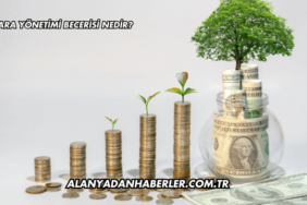 Para Yönetimi Becerisi Nedir?