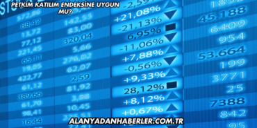 Petkim Katılım Endeksine Uygun mu?