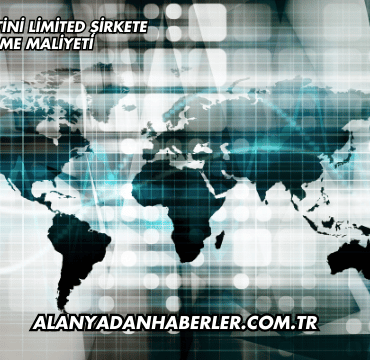 Şahıs Şirketini Limited Şirkete Çevirme Maliyeti