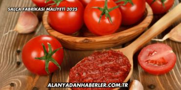 Salça Fabrikası Maliyeti 2025