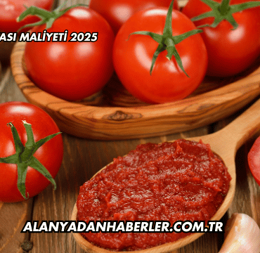 Salça Fabrikası Maliyeti 2025
