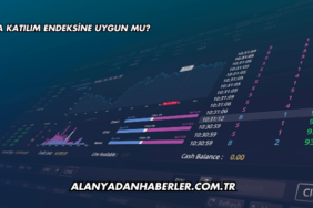 Sasa Katılım Endeksine Uygun mu?