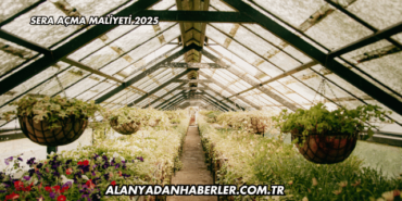 Sera Açma Maliyeti 2025