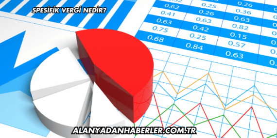 Spesifik Vergi Nedir?
