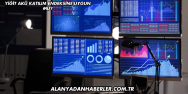 Yiğit Akü Katılım Endeksine Uygun mu?