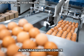 Yumurta Paketleme Tesisi Maliyeti 2025