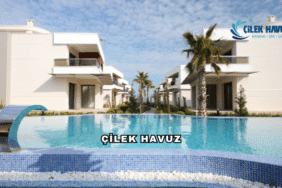 Çilek Havuz