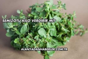 Semizotu Kilo Verdirir mi?