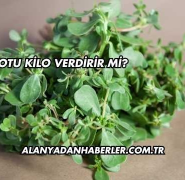 Semizotu Kilo Verdirir mi?